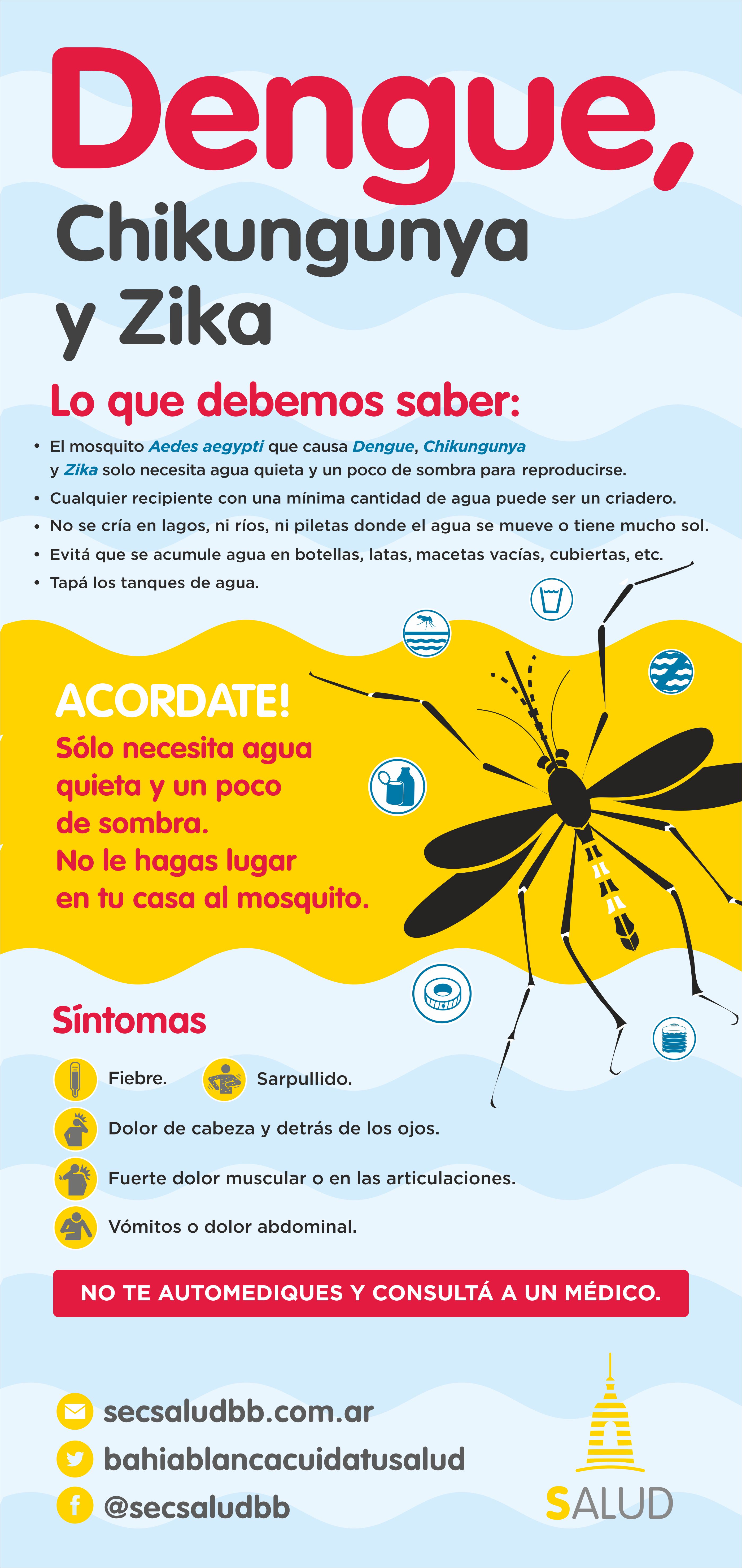 Información sobre el Dengue Municipio de Bahía Blanca